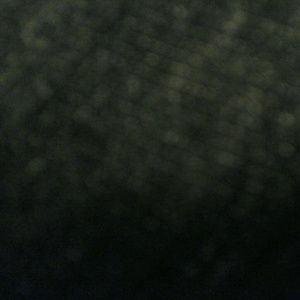 Meet your Posher, Devid